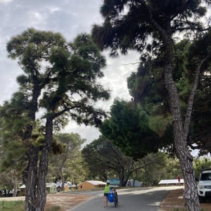 Another Rottnest Day by Newluks