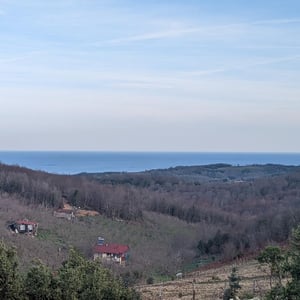 The Black Sea by Simon &amp;amp; Lucy