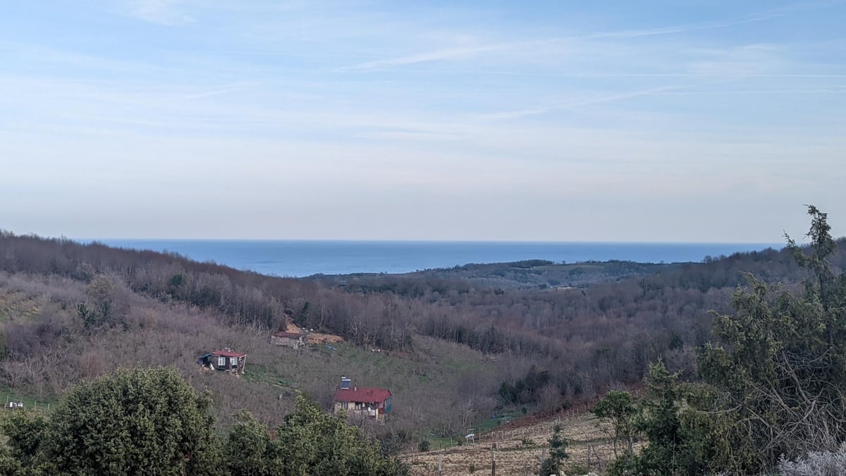 The Black Sea, Türkiye