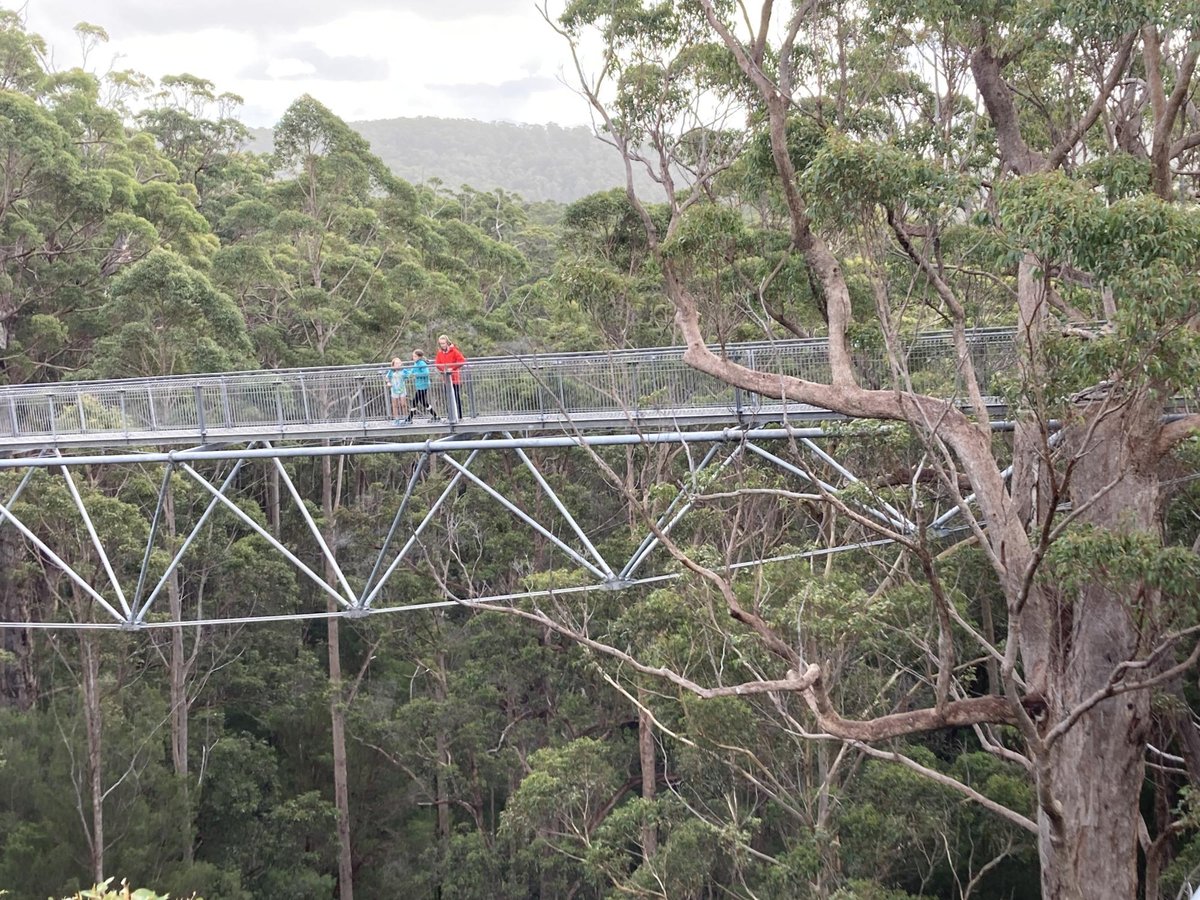 Baumwipfelpfad, Australien