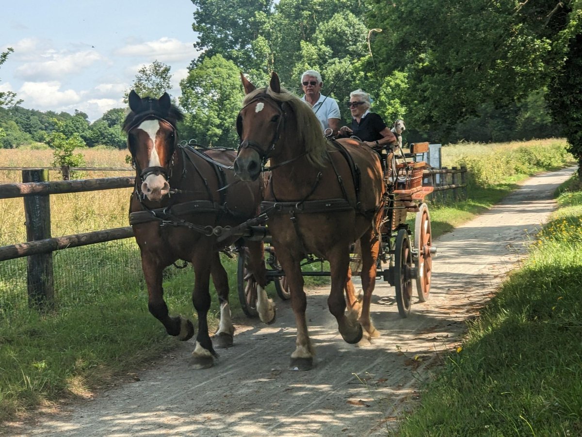 Horse And Wagon, France