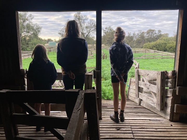 Finally In A House, Australië