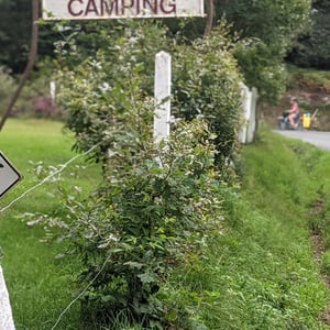 16:25 by Simon &amp;amp; Lucy