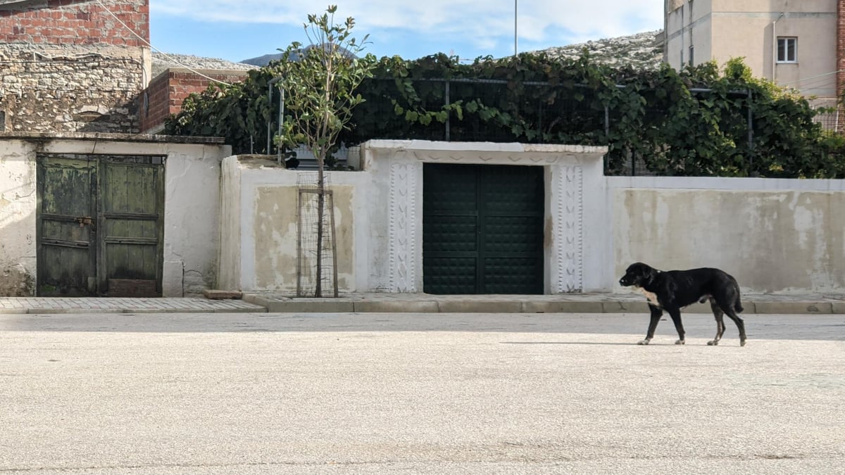 Planänderung, Albanien