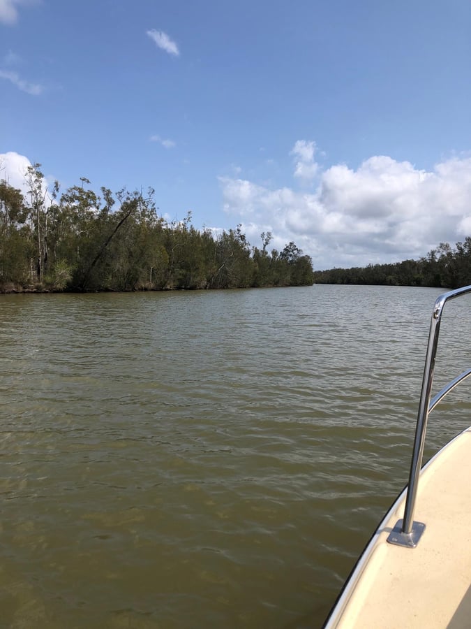 Noosa River, Australia