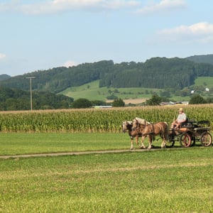 A Few From Today by Simon &amp;amp; Lucy