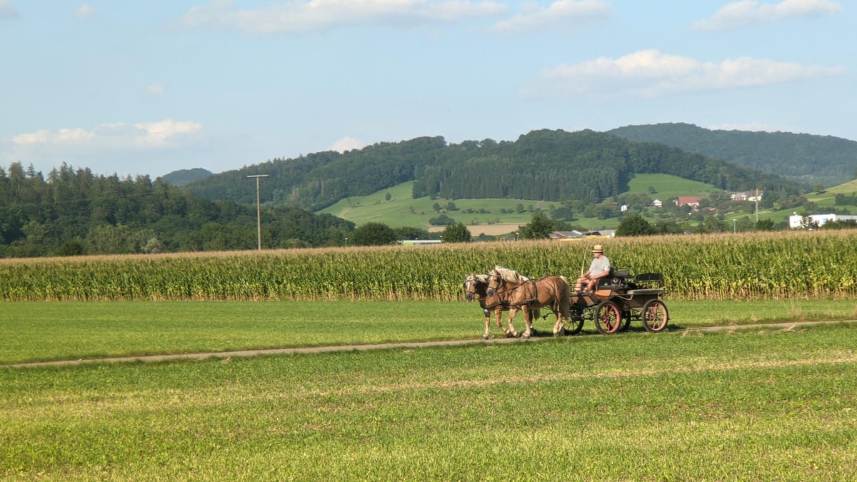 A Few From Today, Germany