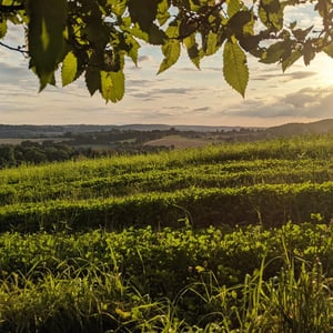 Home For The Night by Simon &amp;amp; Lucy