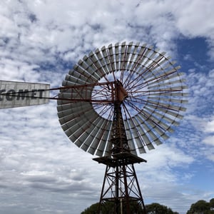 Last day in SA!!!! by Newluks