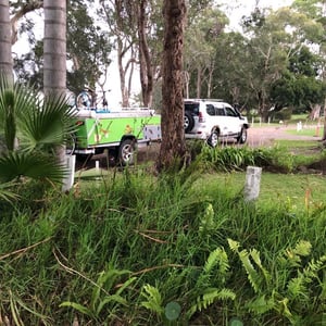 Away! To Dubbo by Newluks