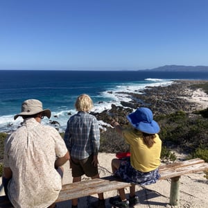 Apply for a Walk by Newluks