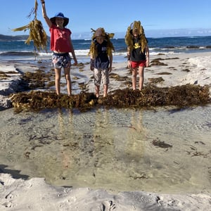 Beach Day by Newluks