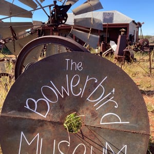 Wooleen Walking by Newluks