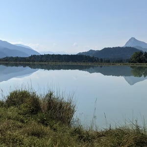 Photos From Today by Simon &amp;amp; Lucy