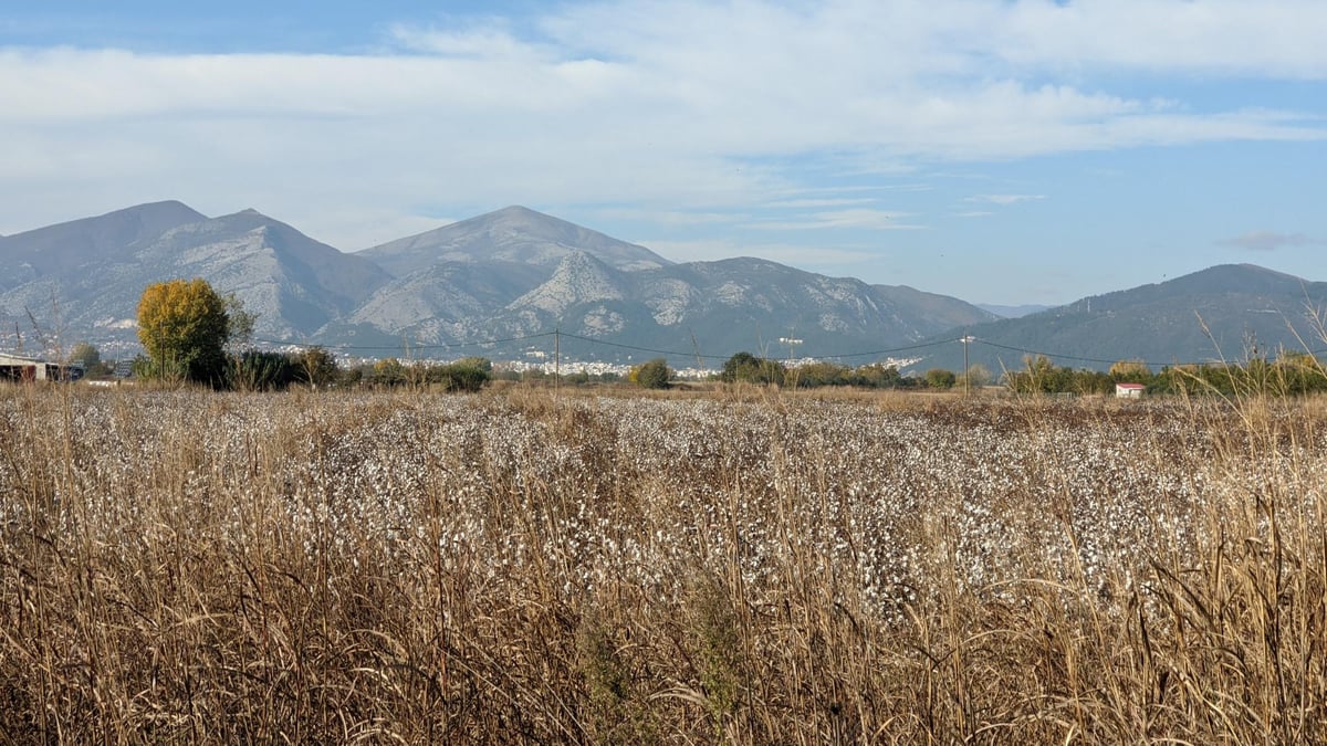 20 Nov 2021 - 18:30, Greece