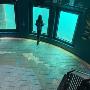 In A Real house! by Newluks