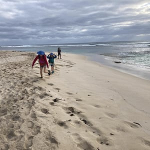 Hiking The Cape To Cape by Newluks