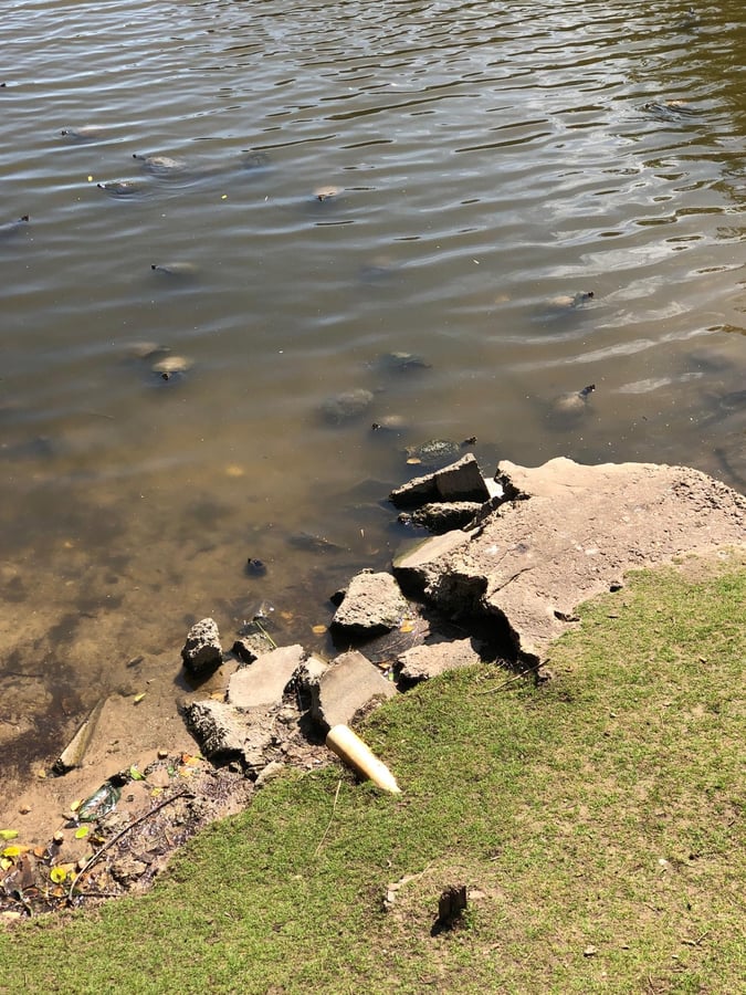 Haul Out And Rest Day., Australia