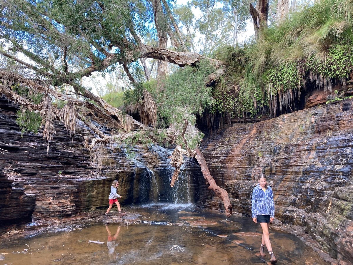 Un'altra gola in un giorno di pioggia, Australia