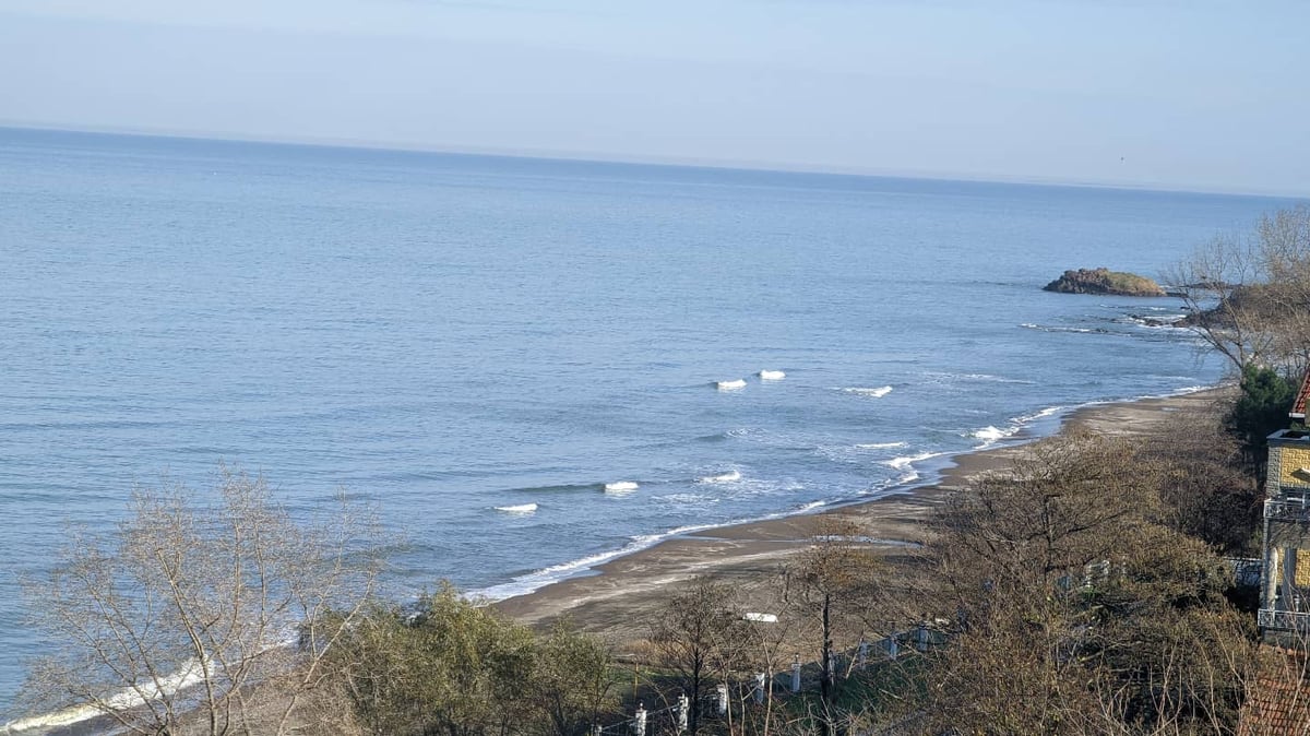 5 Jan 2022 - 14:21, Türkiye