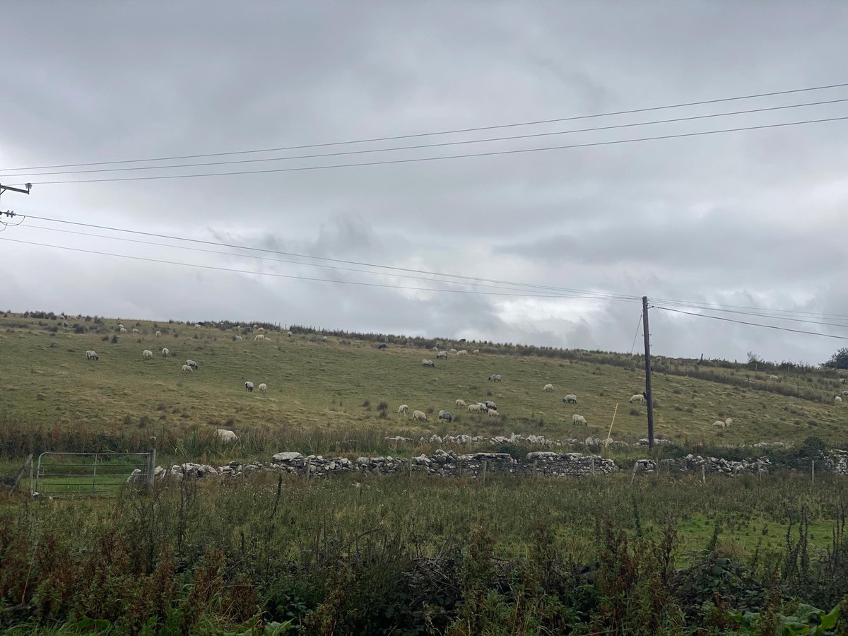 On The Road Again, Ireland