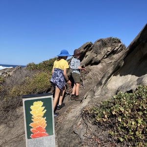 Apply for a Walk by Newluks