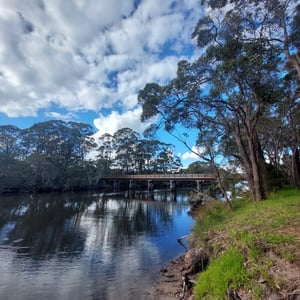 Massive bike ride by Newluks