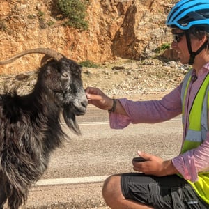 Goat by Simon &amp;amp; Lucy