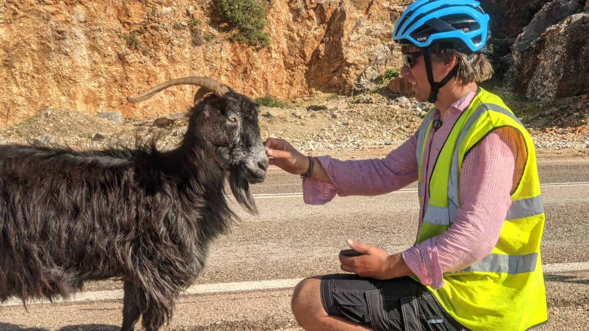 Goat, Greece