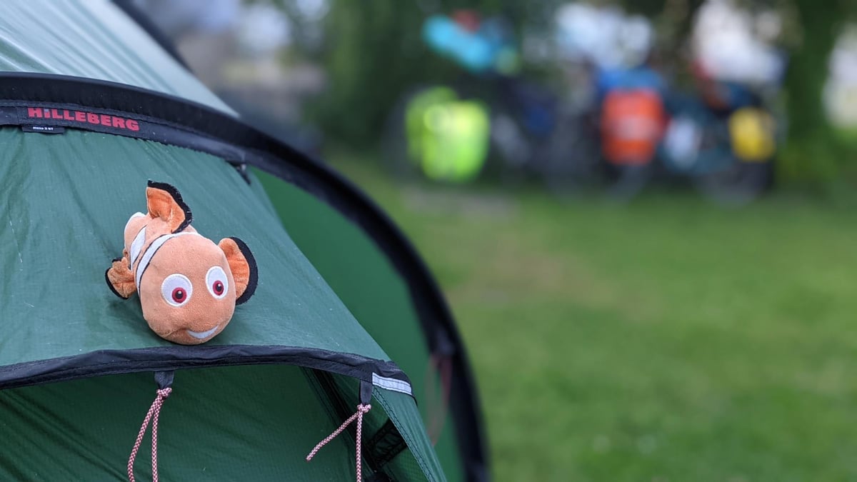 Another Night, Another Camp!, Germany