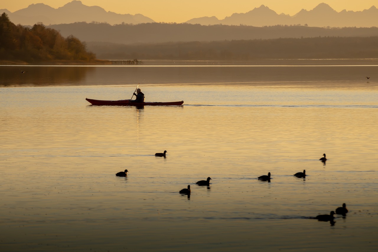 Kayaks, Canoes, & SUPs
