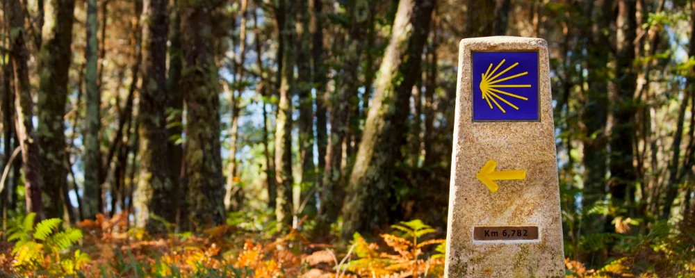 Camino de Santiago