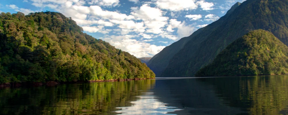 Doubtful Sound