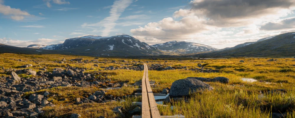 The King’s Trail (Kungsleden)