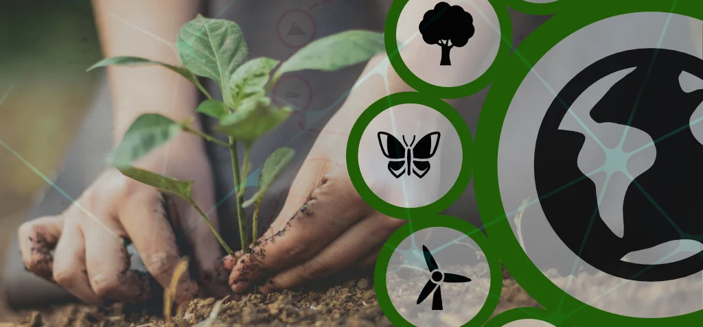 Pebbls: The Eco-Friendly Travel Tracker