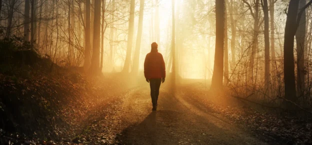 The Quiet Art of Escapism
