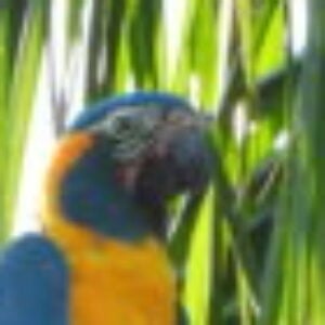 Profile photo of Gill