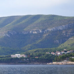 Profile photo of Paul